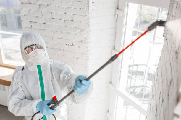 Best Mold Removal for HVAC Installations  in Dallastown, PA