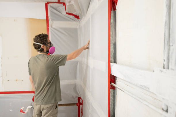 Professional Mold Removal in Dallastown, PA