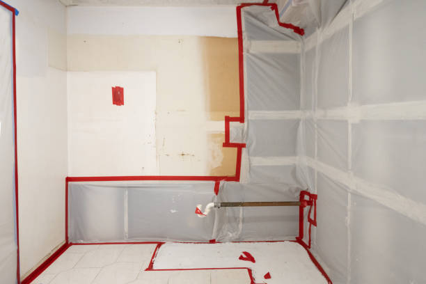 Best Mold Prevention Services  in Dallastown, PA