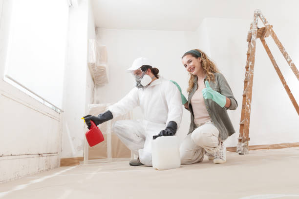  Dallastown, PA Mold Removal Pros