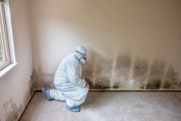 Mold Remediation for Vacation Homes in Dallastown, PA